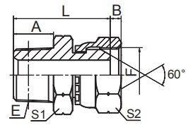 201902221701027760280